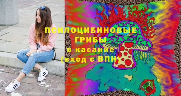 прущие грибы Алексеевка
