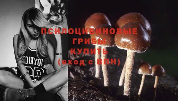COCAINE Новозыбков